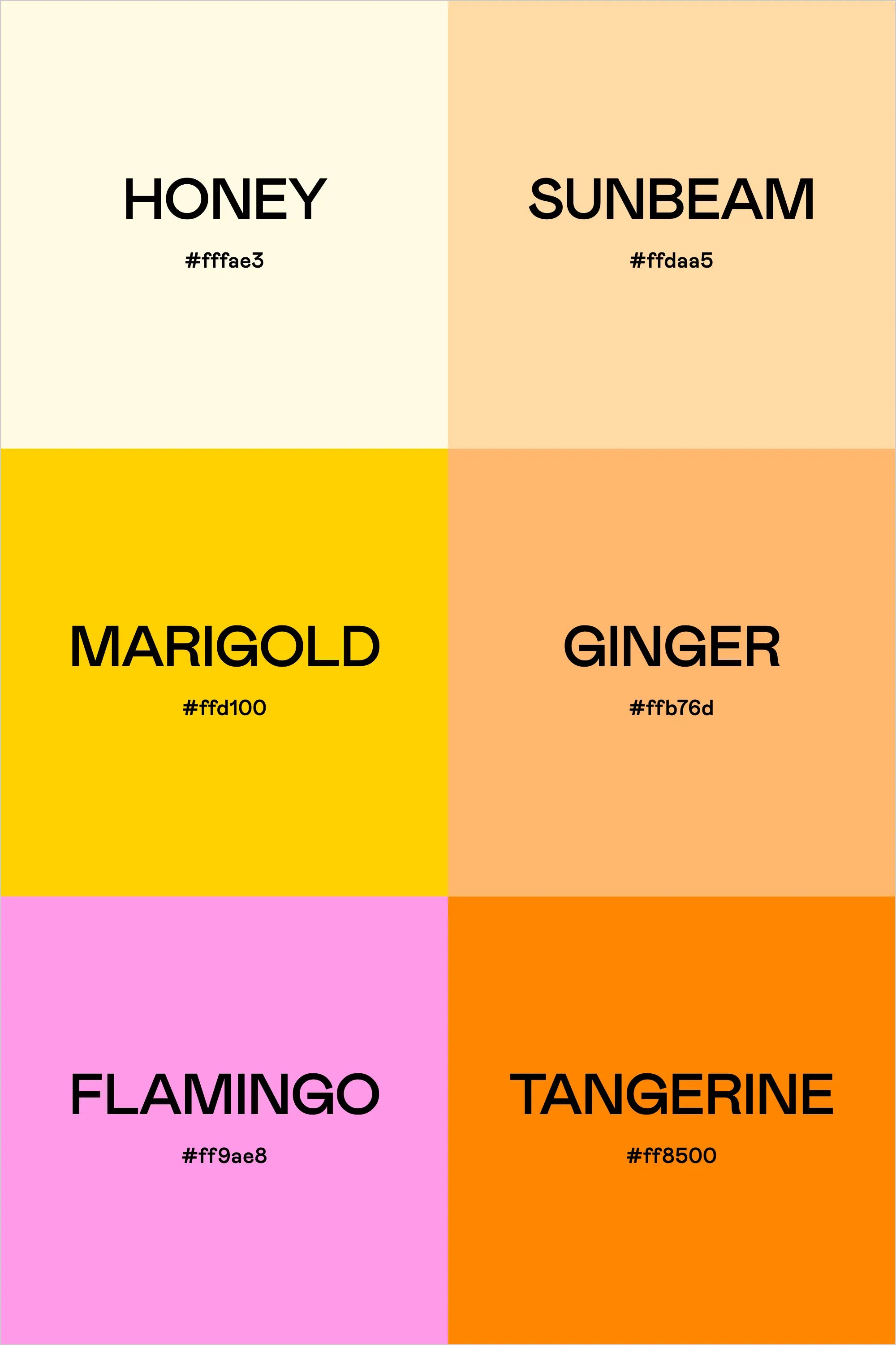 Color Palette: Bright Warm Boho