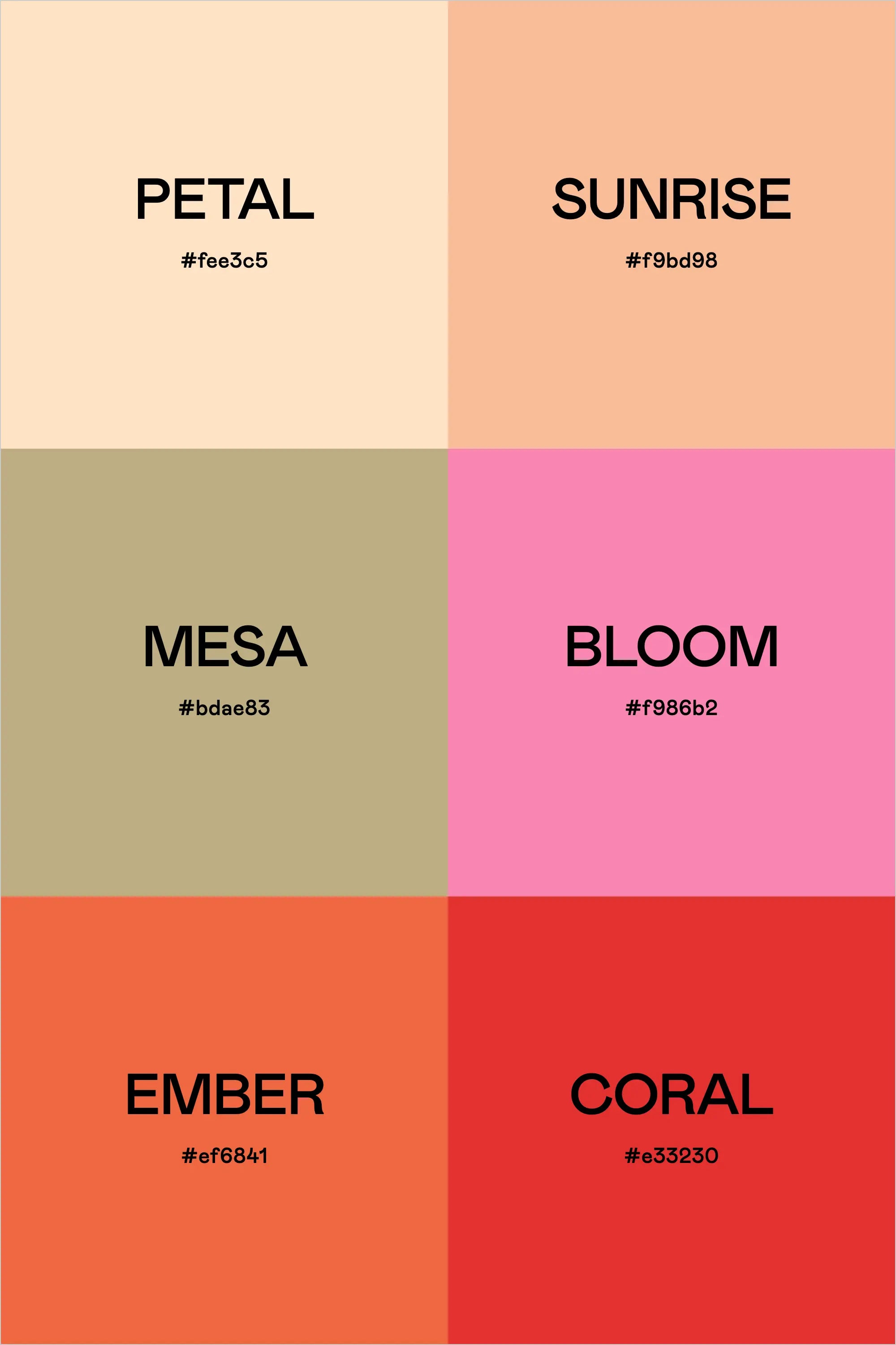 Color Palette: Cactus Flower