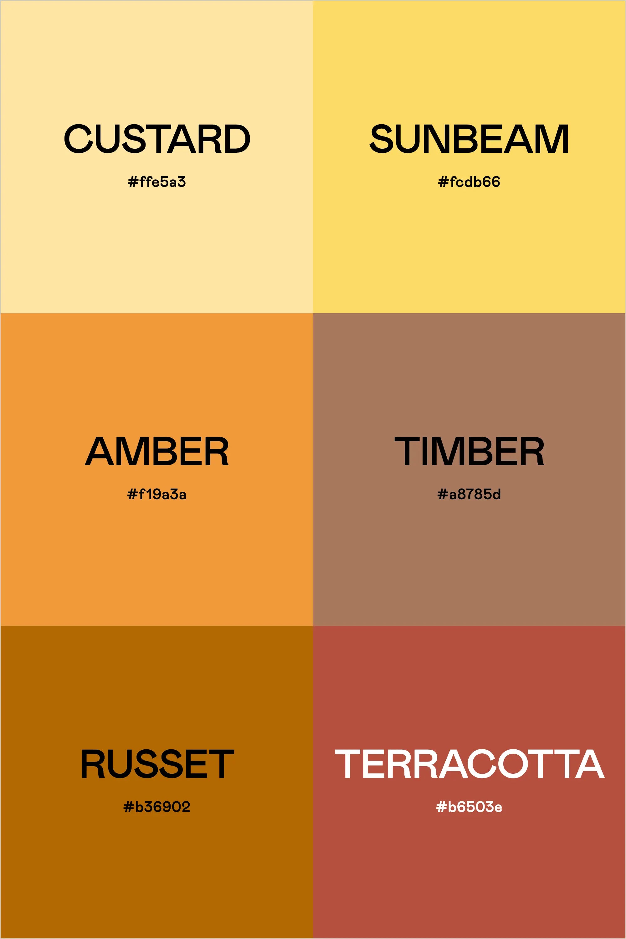 Color Palette: Cheese Board