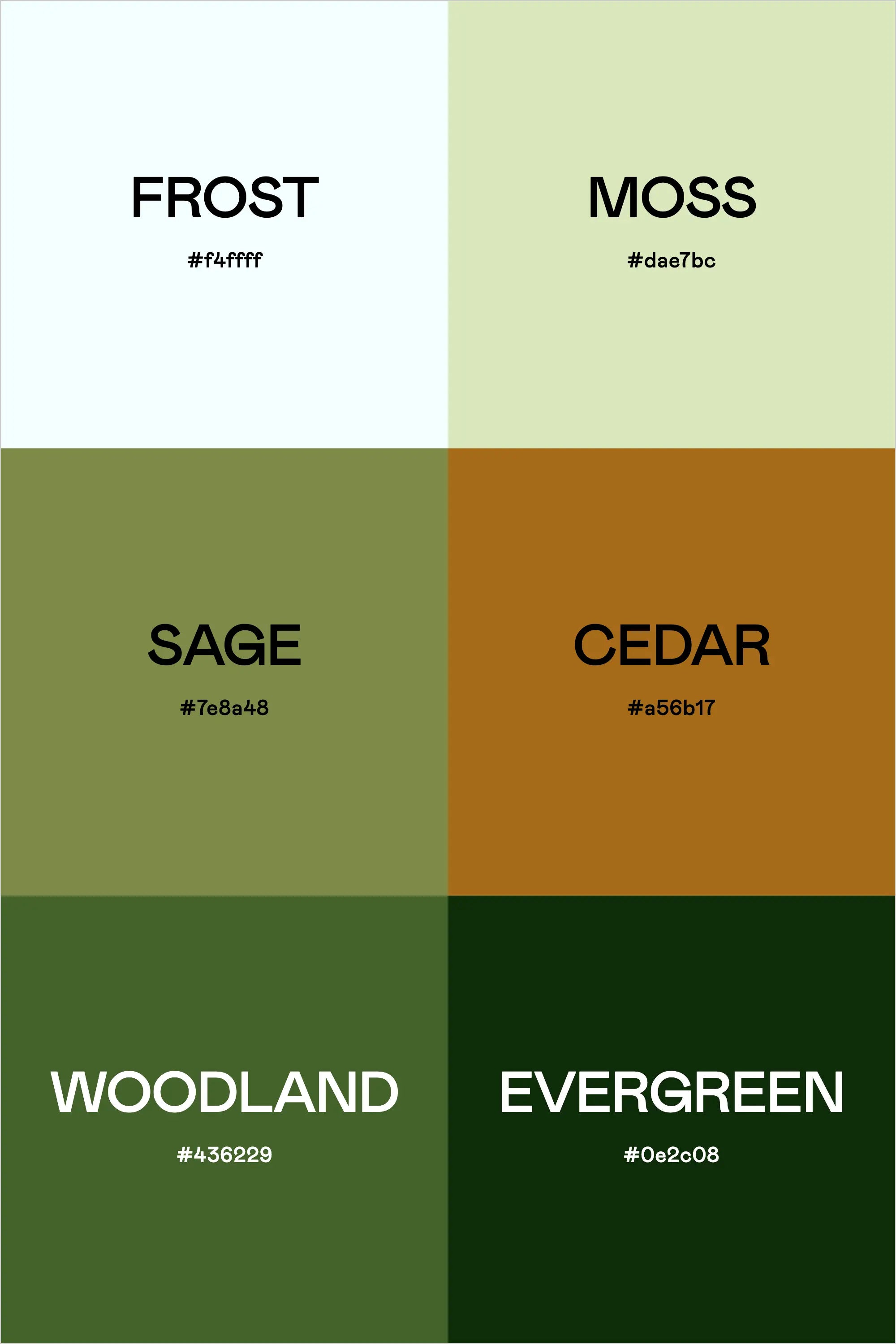 Color Palette: Earthy Greens
