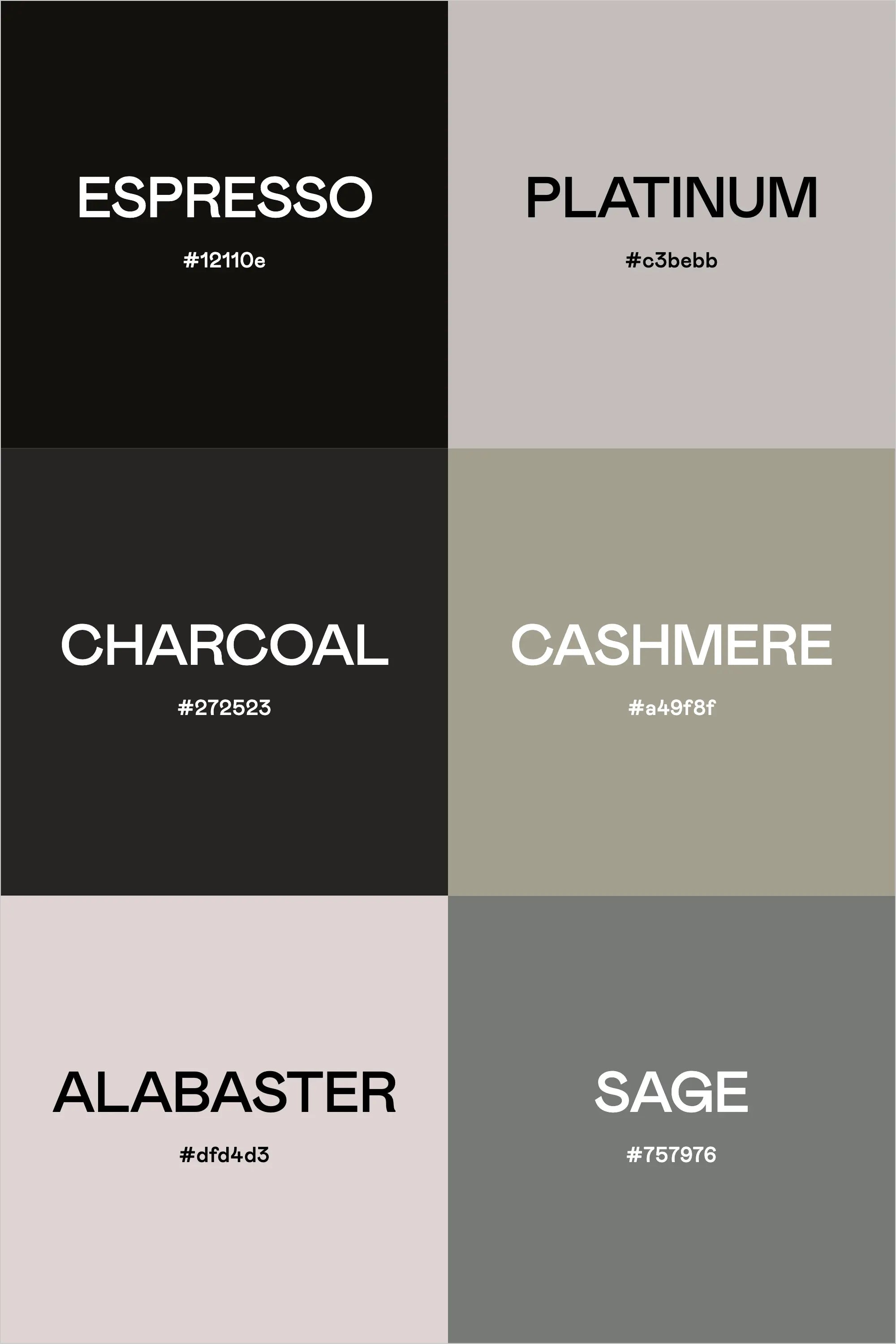 Executive Minimalism: A Modern Grayscale Color Palette with Organic Accents