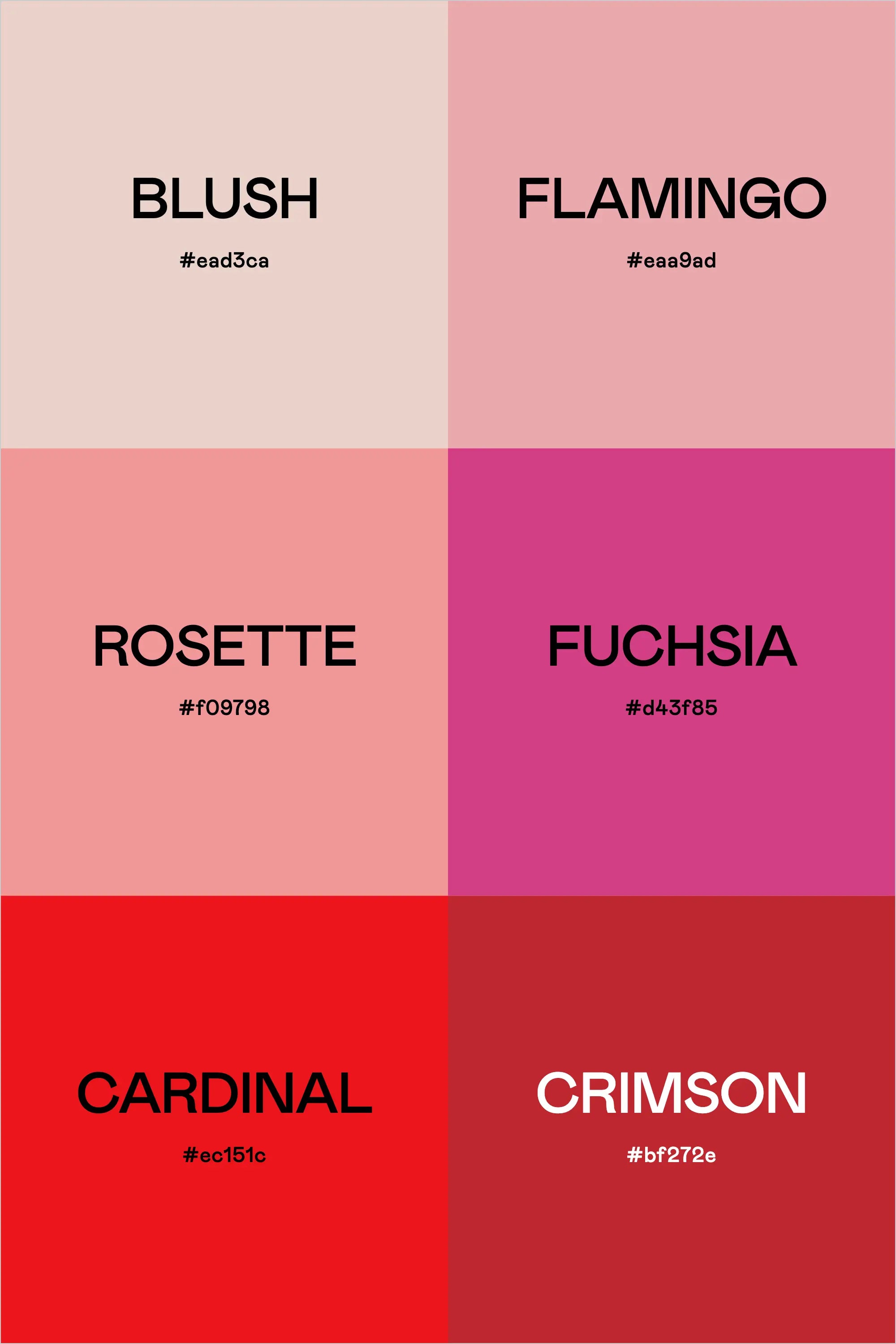 Color Palette: Galentine's Day