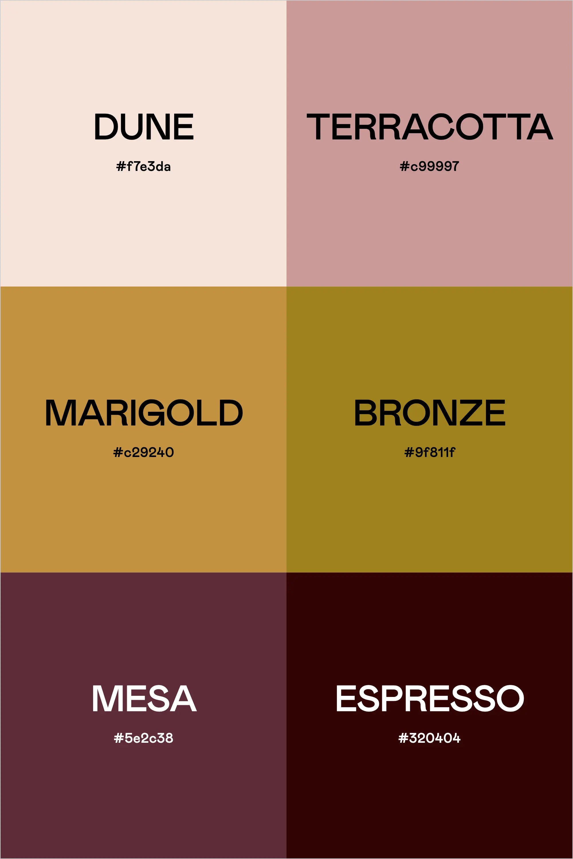 Color Palette: Modern Desert