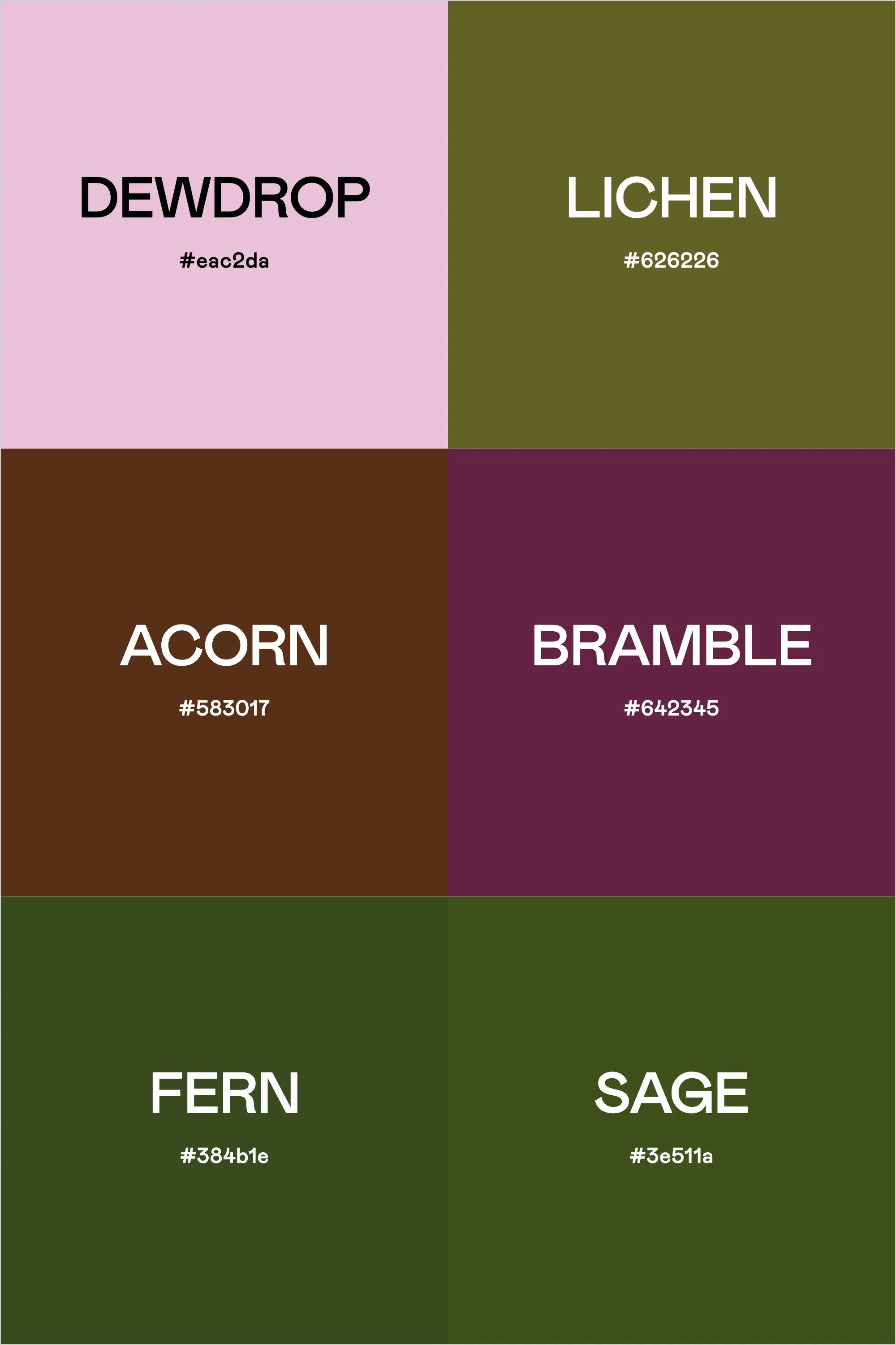 Forest Floor: A Spring Rain-Inspired Color Story – The Color Palette Studio
