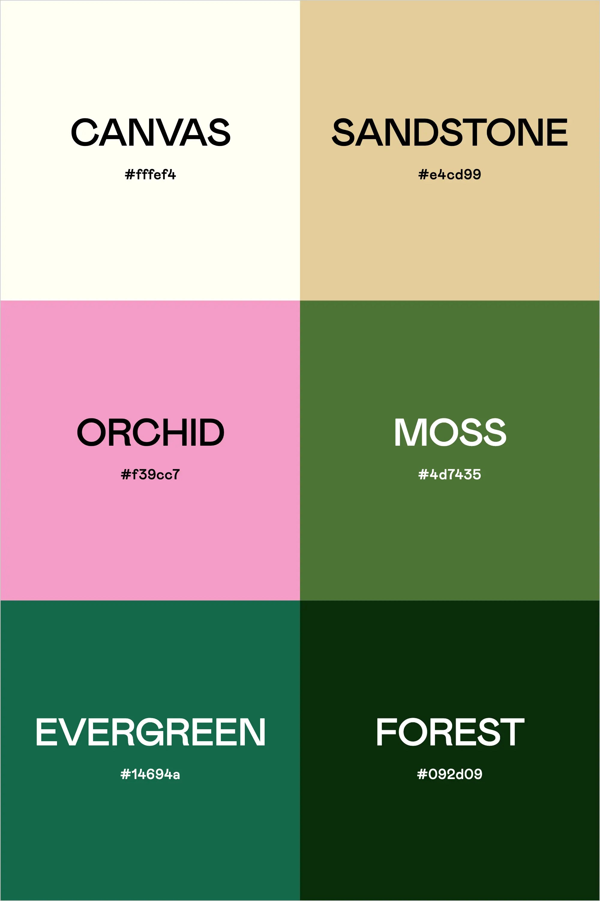 Color Palette: Urban Jungle