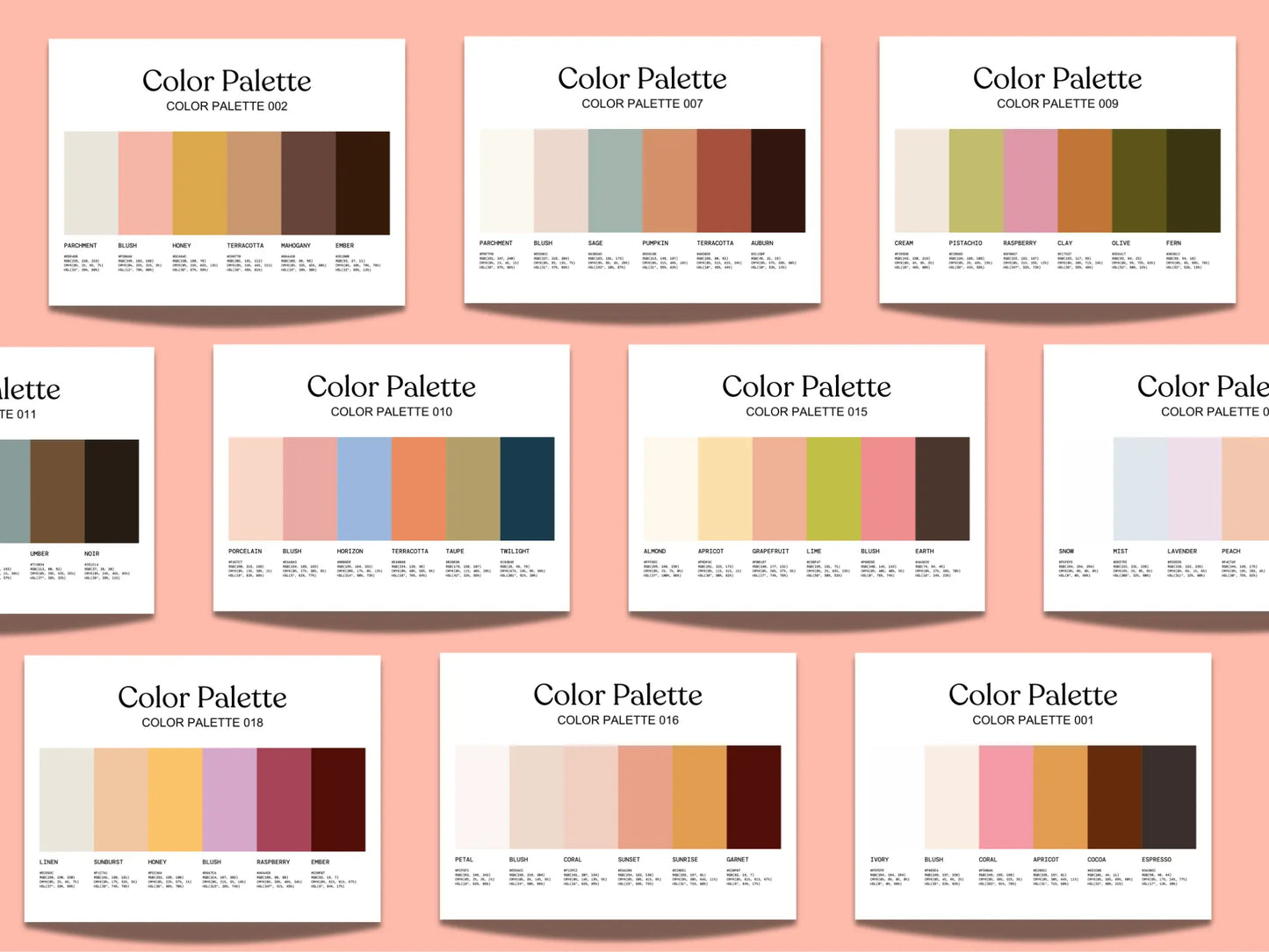 Bright & Warm Color Palette Kit The Color Palette Studio