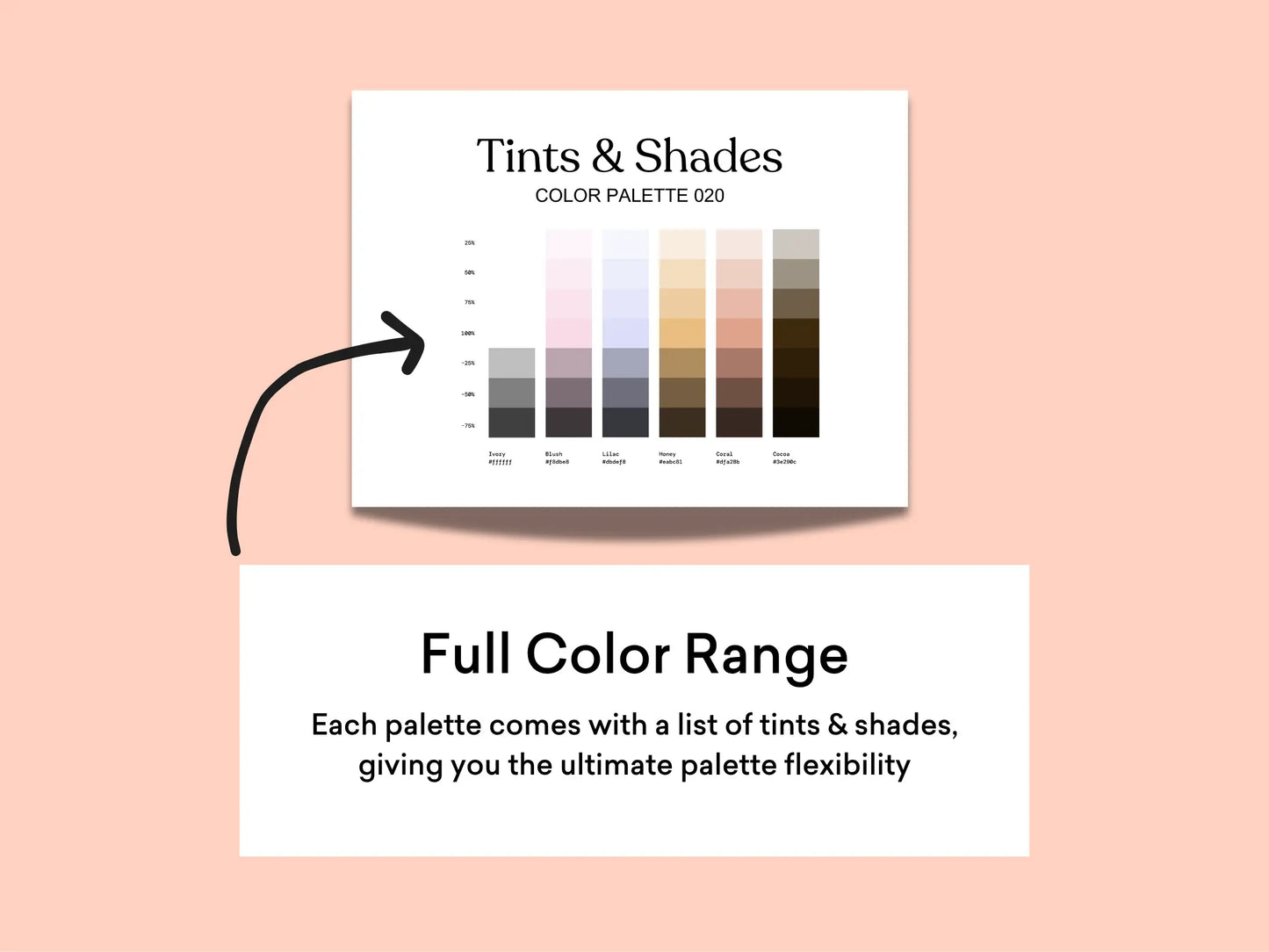 Bright & Warm Color Palette Kit The Color Palette Studio