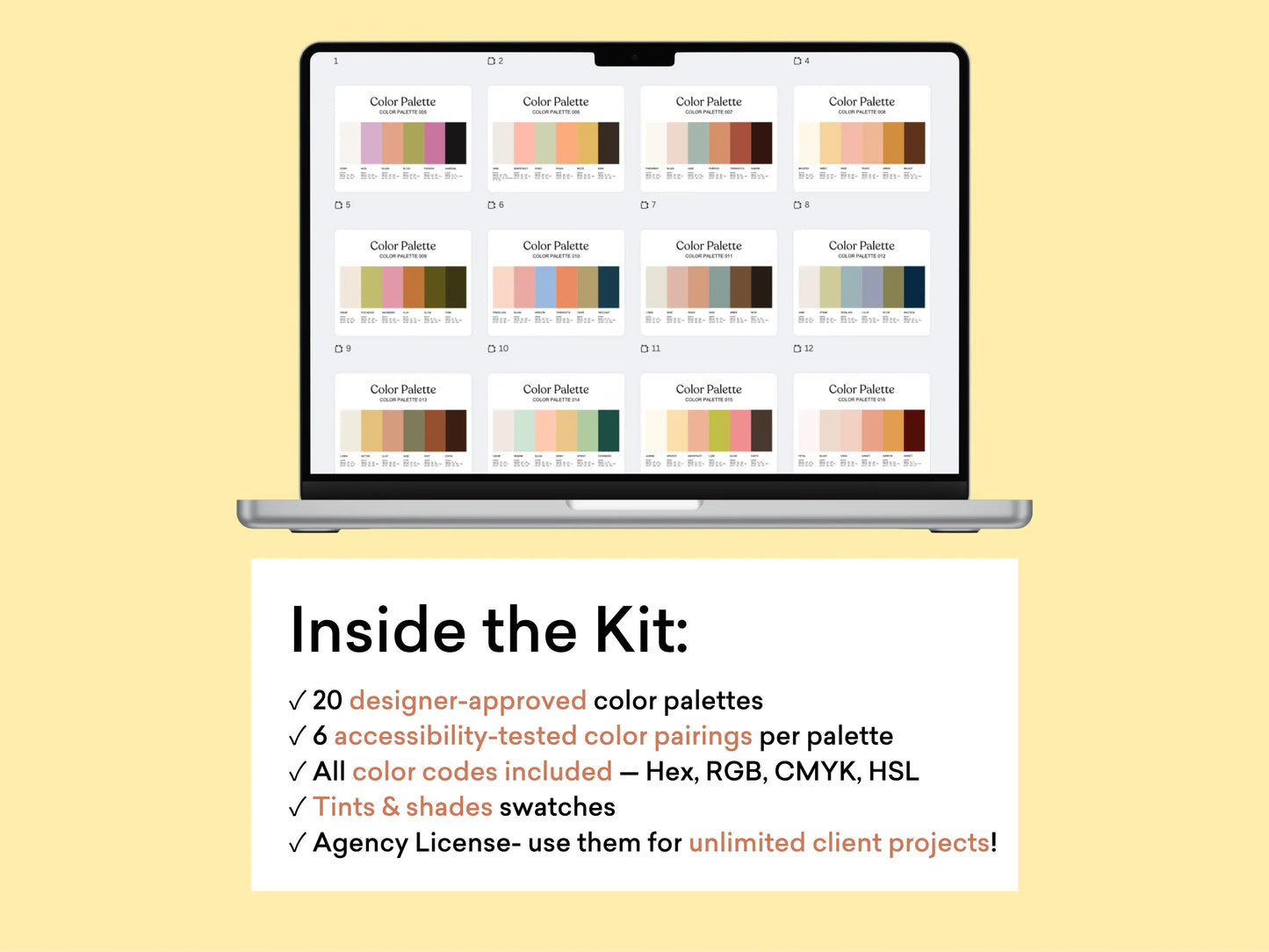 Bright & Warm Color Palette Kit The Color Palette Studio