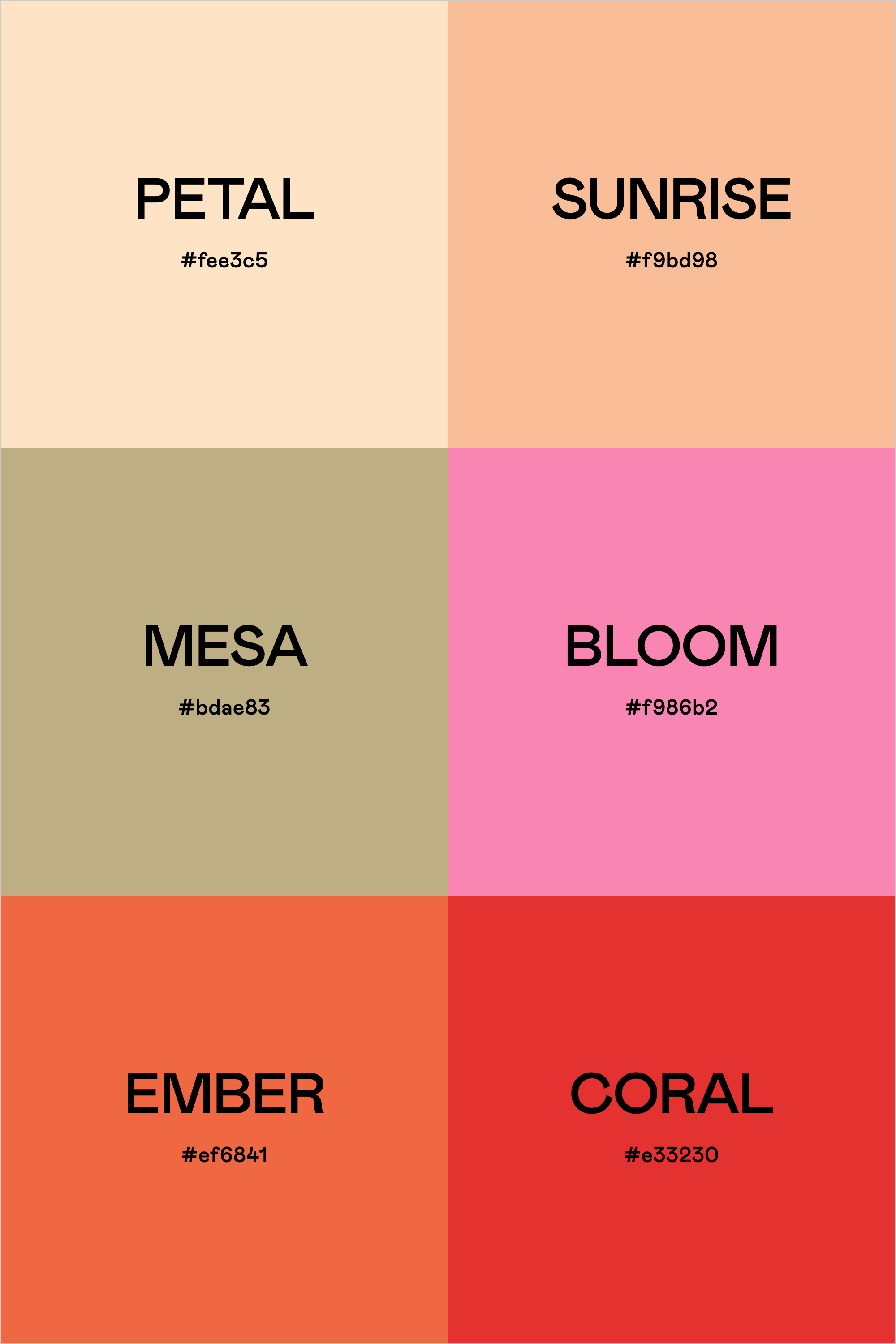 Color Palette: Cactus Flower