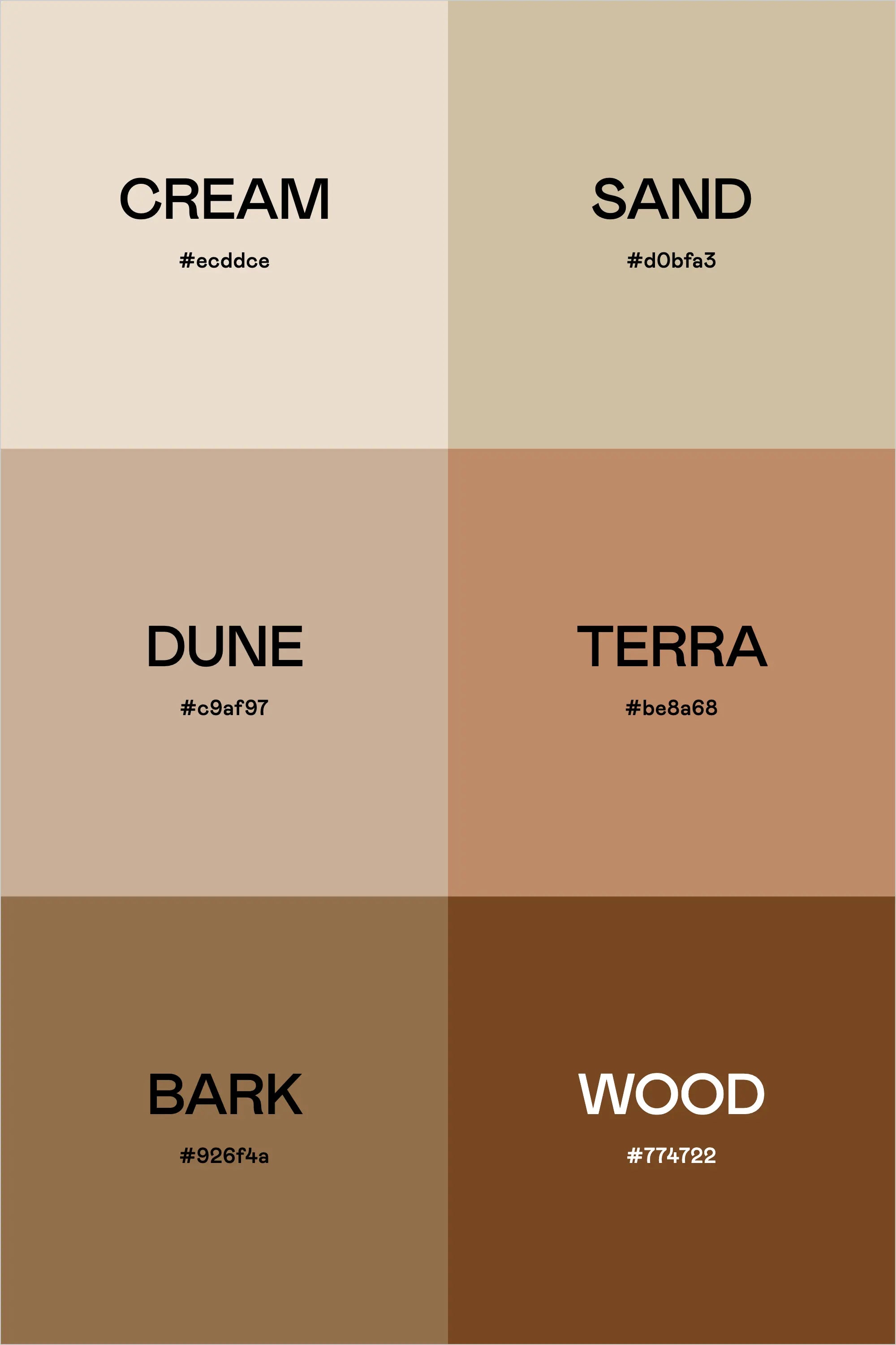 Color Palette: Coconut