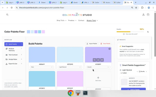 Color Palette Fixer Build Palette, default purple set, health 50 percent