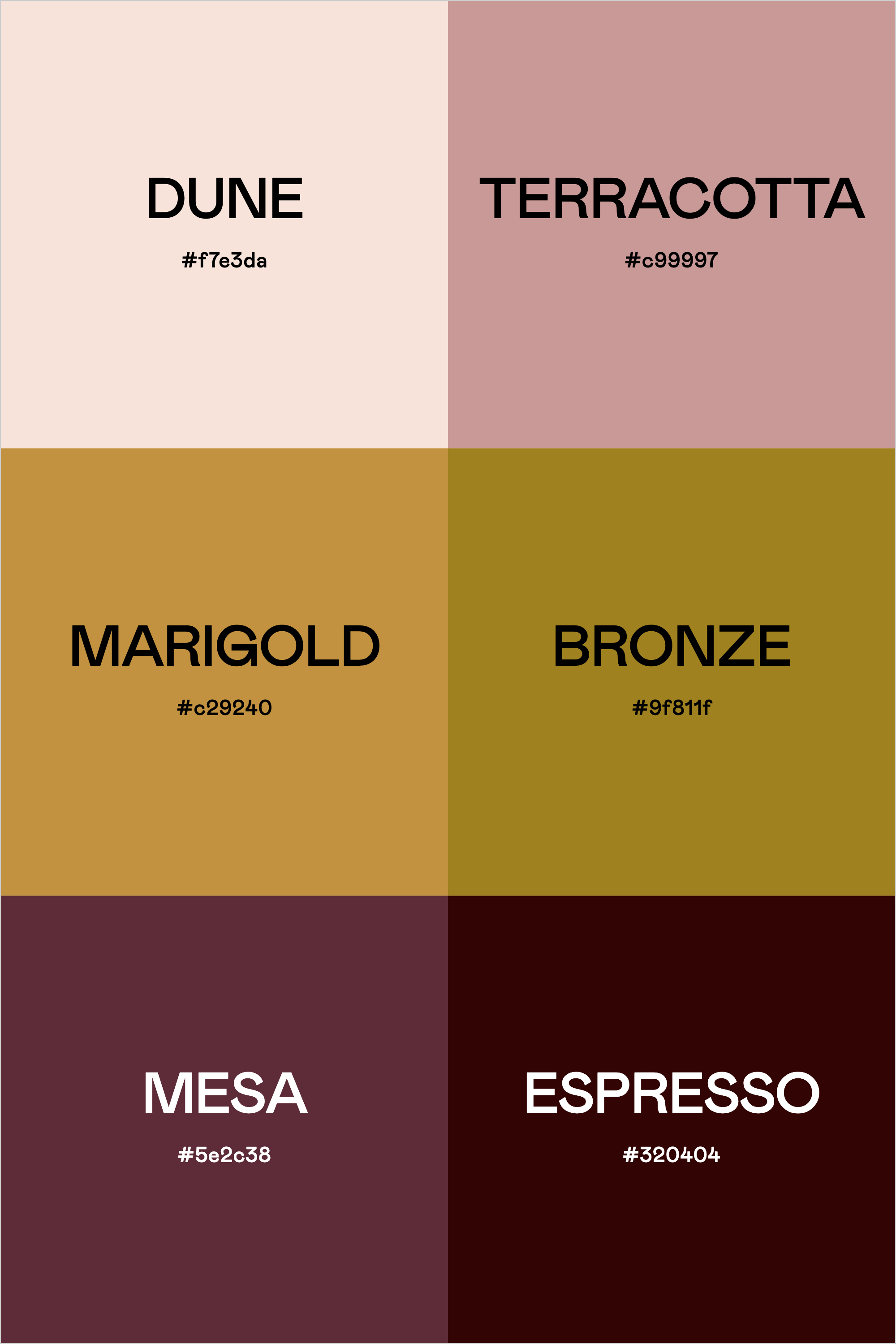 Color Palette: Modern Desert