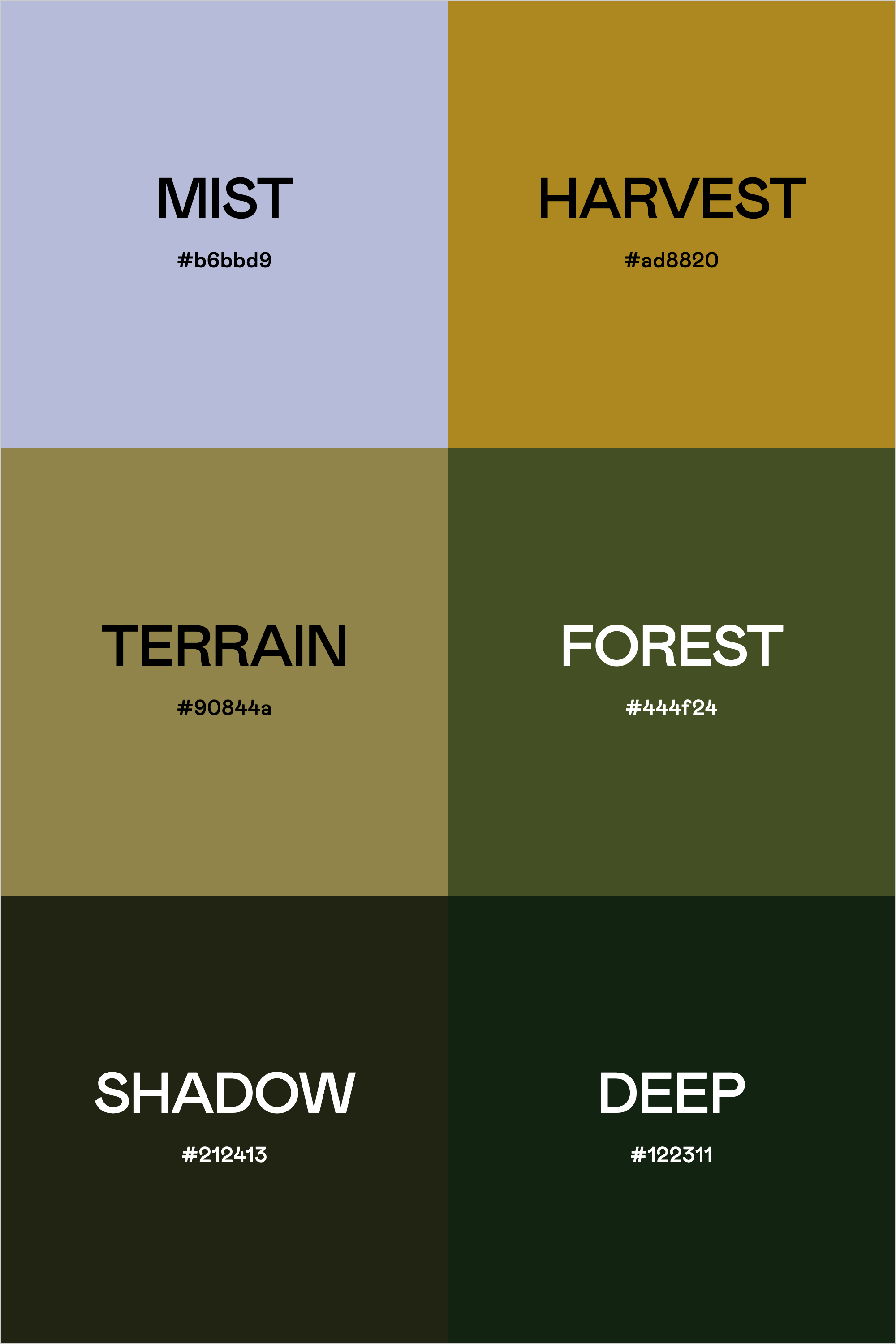 Color Palette: Olive Green