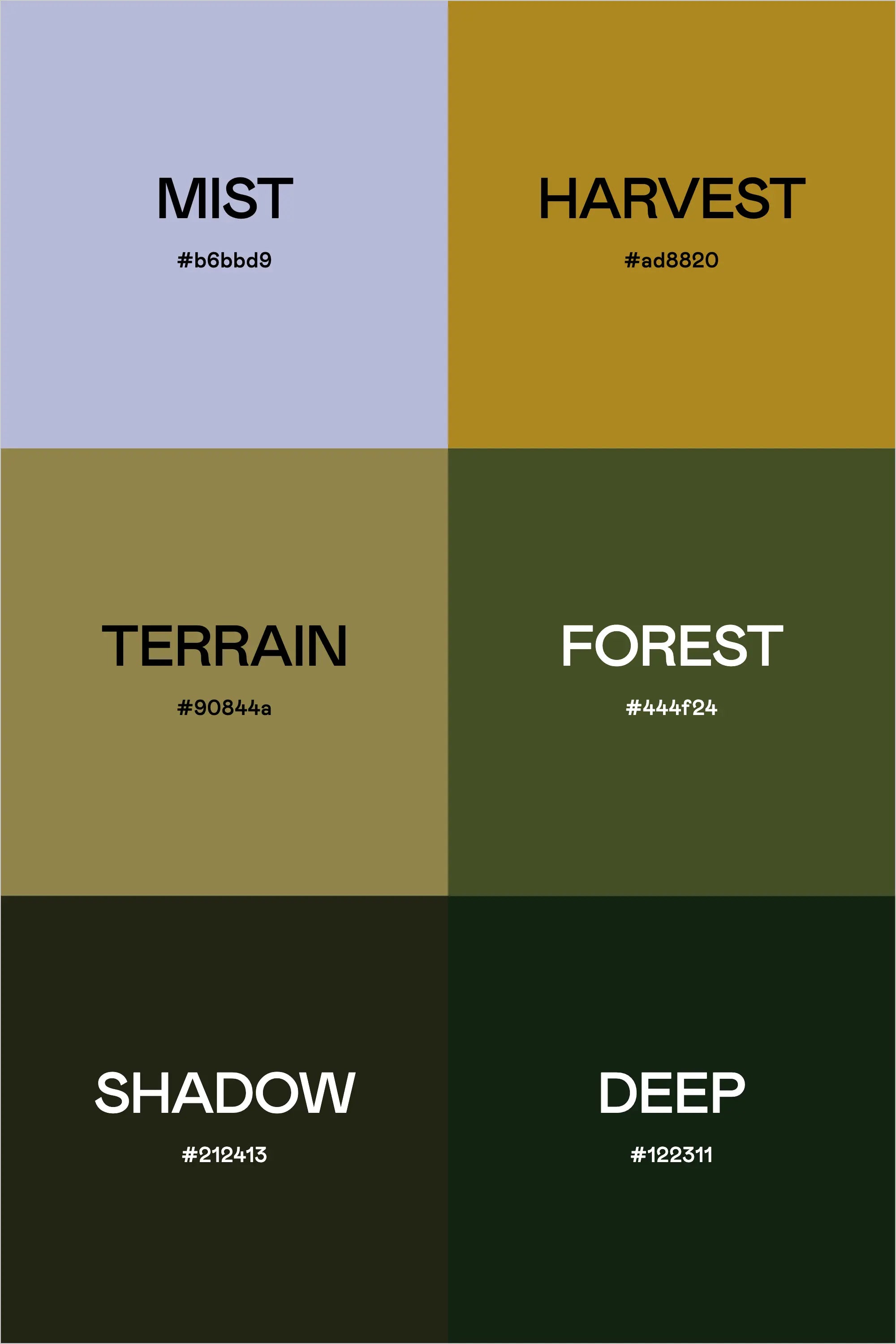 Color Palette: Olive Green
