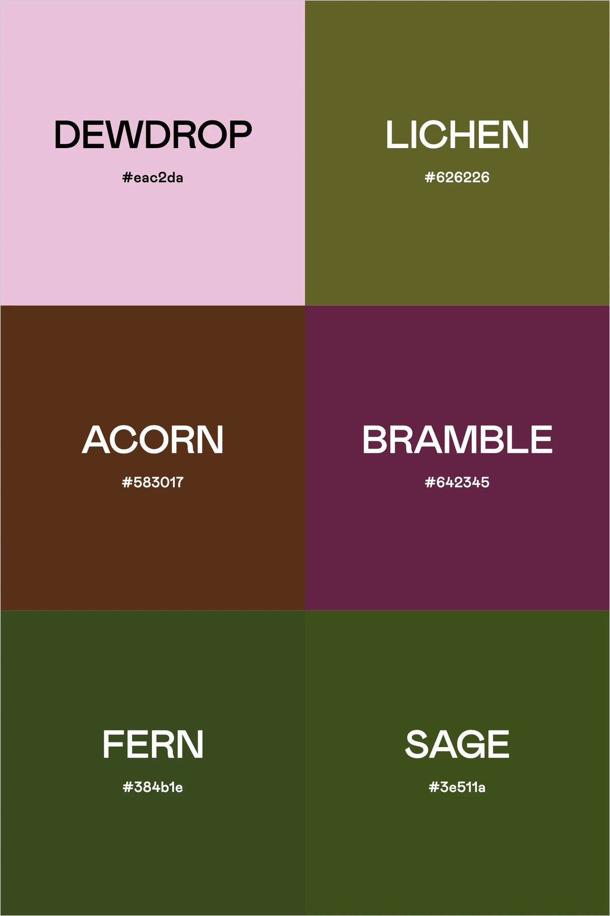 Forest Floor: A Spring Rain-Inspired Color Story – The Color Palette Studio