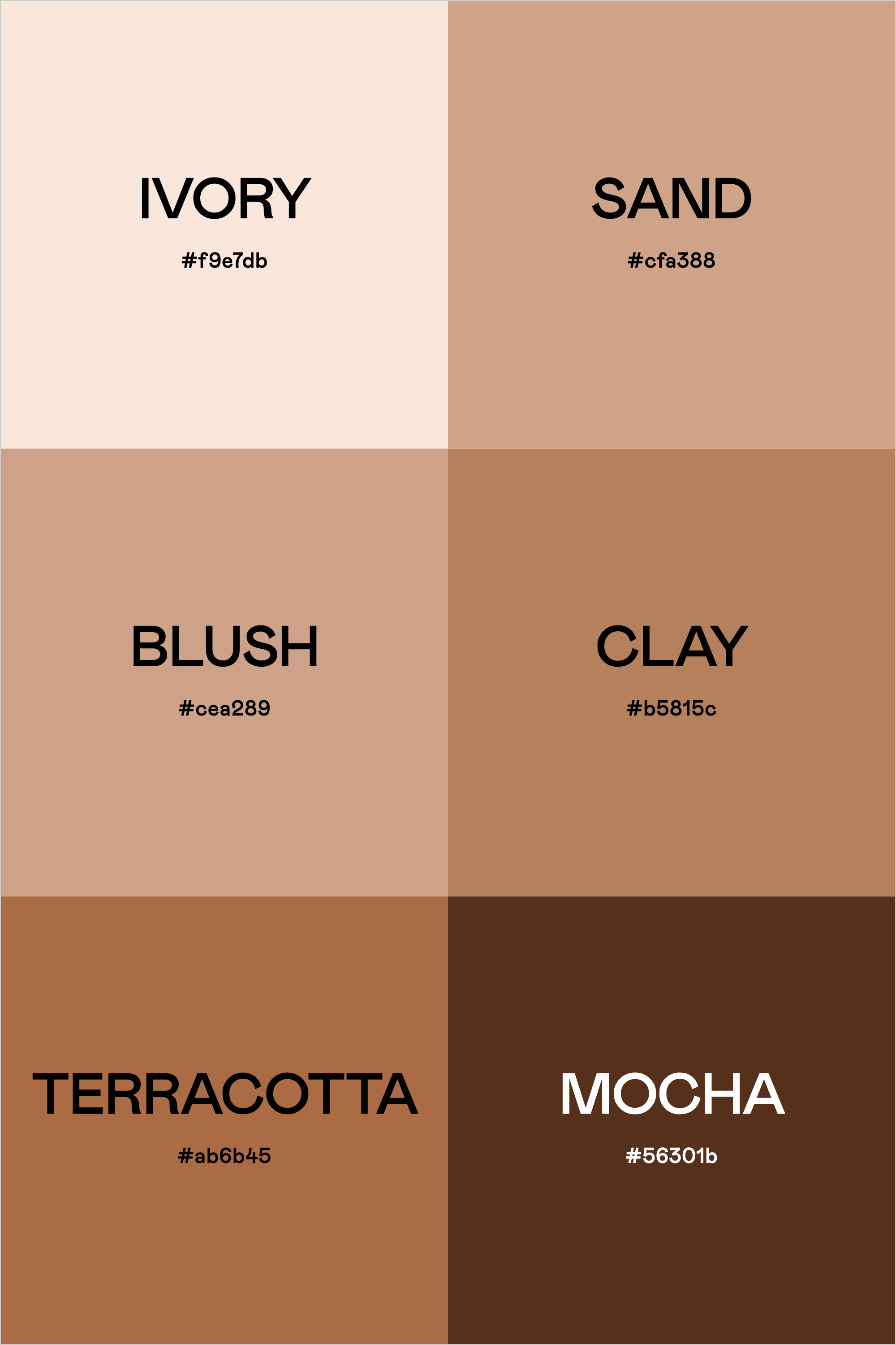 Color Palette: Studio Neutrals