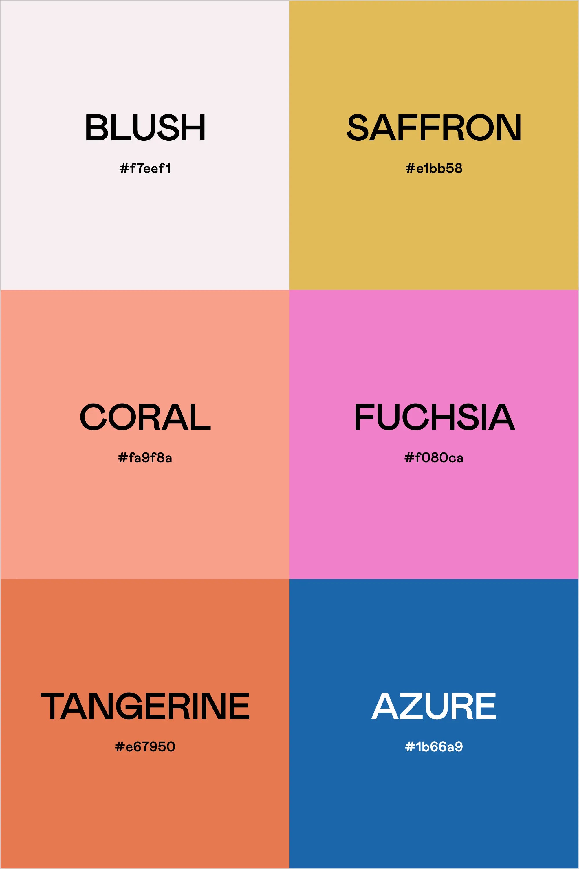 Color Palette: Zesty & Bright