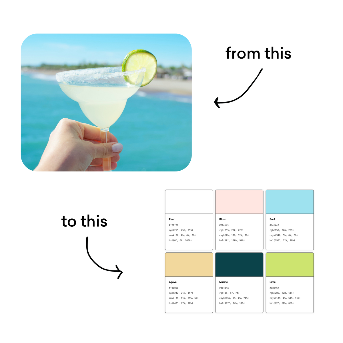 Color Palette Builder from photo to palette