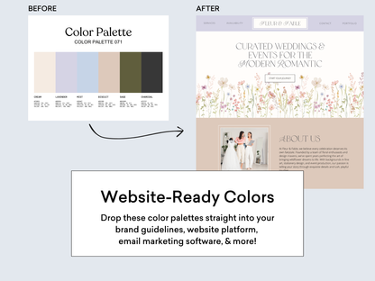 Color Palette Kit